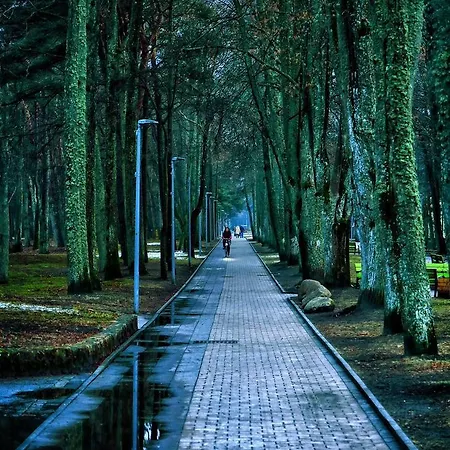 Isabela * Паланга